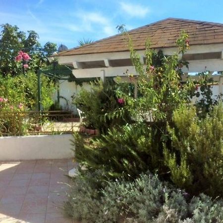 Appartement 3 Chambres Proche Mer Entre Palavas Les Flots Et Frontignan Plage Dans Maison Avec Jardin Villeneuve-lès-Maguelone Zewnętrze zdjęcie