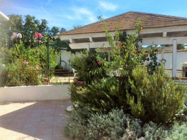 Appartement 3 Chambres Proche Mer Entre Palavas Les Flots Et Frontignan Plage Dans Maison Avec Jardin Villeneuve-lès-Maguelone Zewnętrze zdjęcie